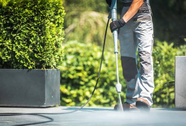 Best Commercial Pressure Washing in Lacoochee, FL