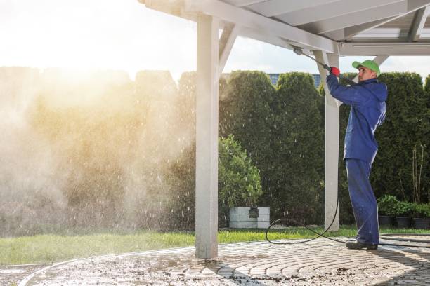 Best Graffiti Removal Services in Lacoochee, FL