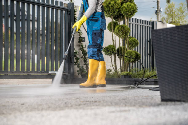 Best Sidewalk and Walkway Pressure Cleaning in Lacoochee, FL